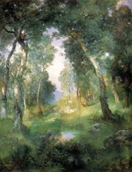 Radura nella foresta, Santa Barbara